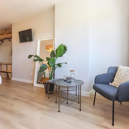 Airport Earth By Homing *