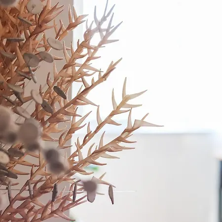 Airport Earth By Homing *